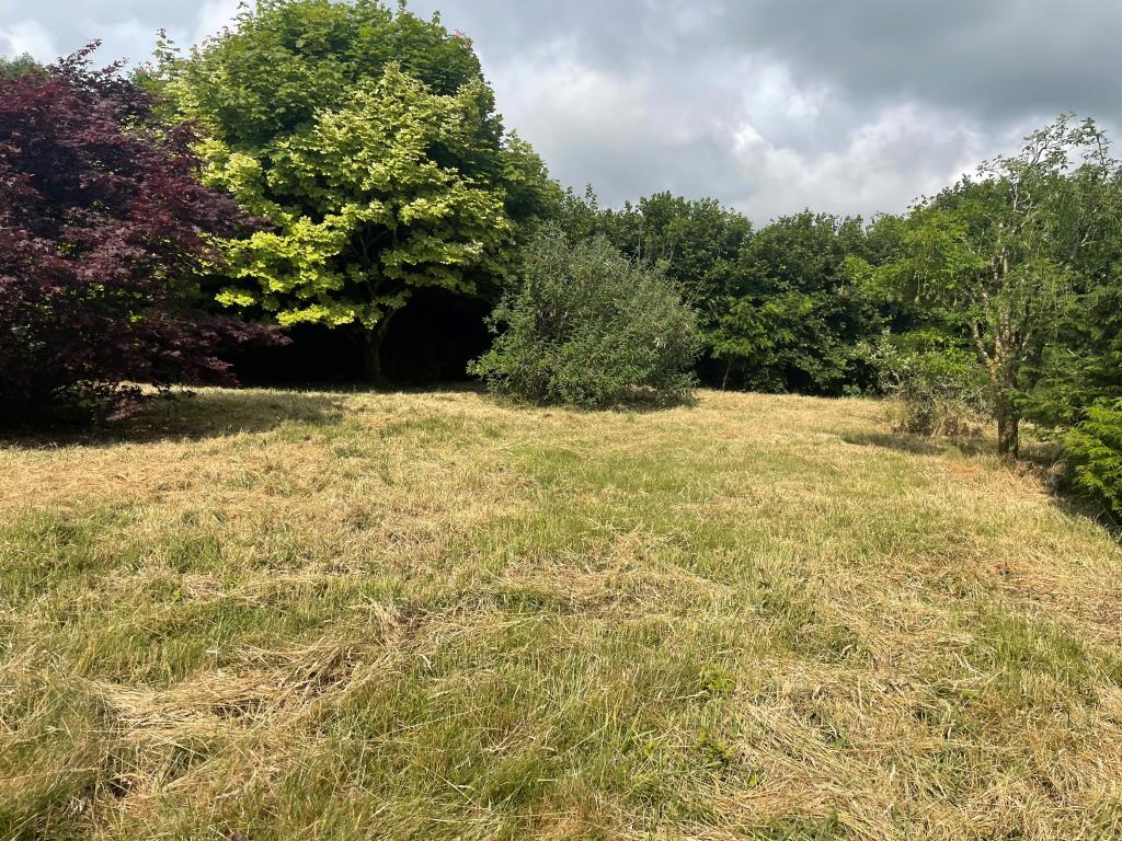 Lot: 123 - DETACHED CHALET BUNGALOW FOR IMPROVEMENT - Photo of rear garden